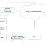Y-chromosome mapping