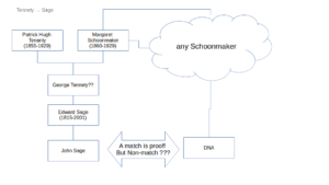 Y-chromosome mapping